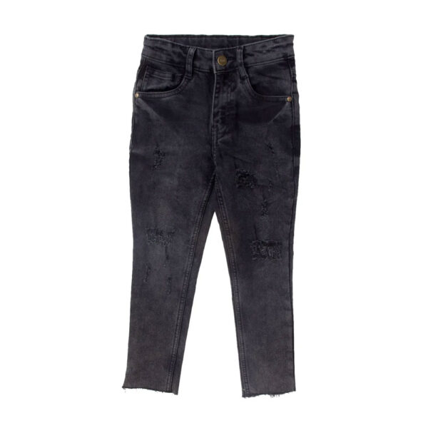 Jeans Pant